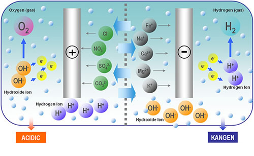 kangen electrolyzed water